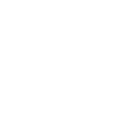 Celloicoon